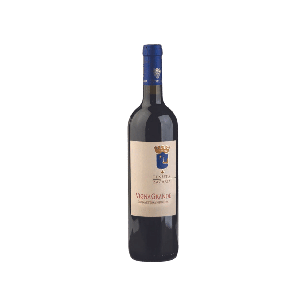 Spagnoletti Zeuli Vigna Grande - L'Enologista