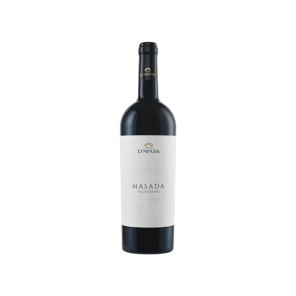 Masada Negroamaro Rosso Brindisi - Enologista